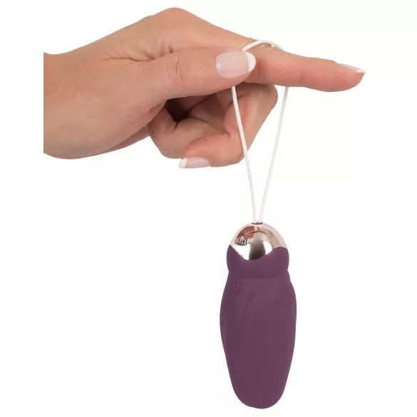 Javida - Rotating Beaded Vibrating Egg with Remote (Purple)