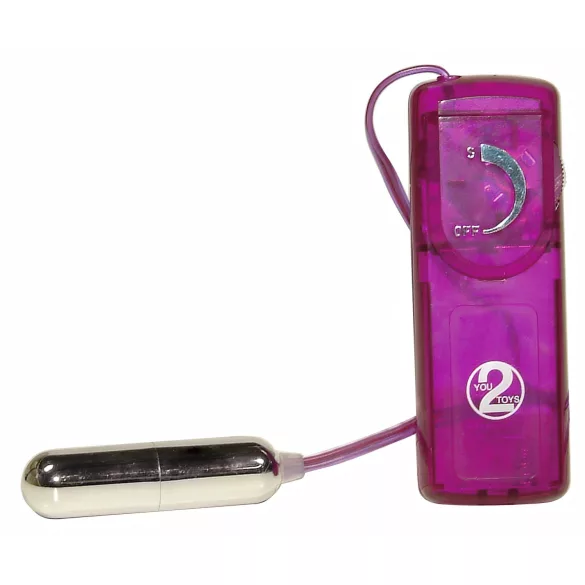 You2Toys - Erotic Surprise - 12-Piece Vibrator Set