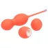 We-Vibe Bloom - Kegel Balls with Adjustable Weights (Orange)
