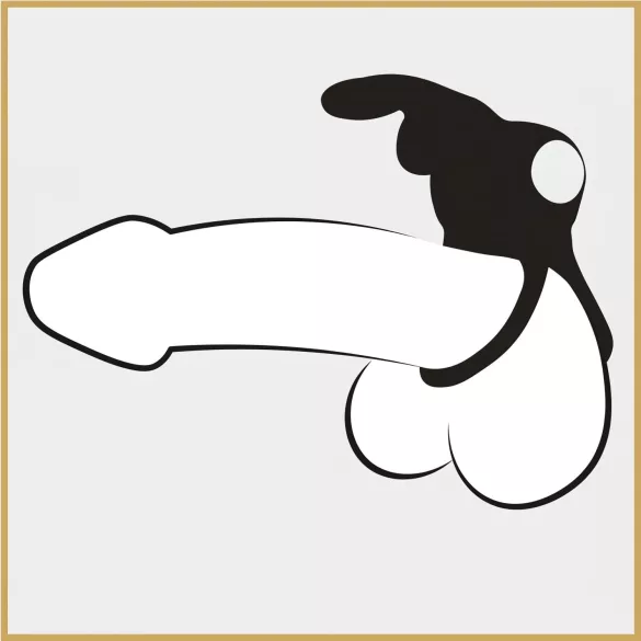 Happyrabbit Cock - Waterproof Rechargeable Penis & Testicle Ring (Black)