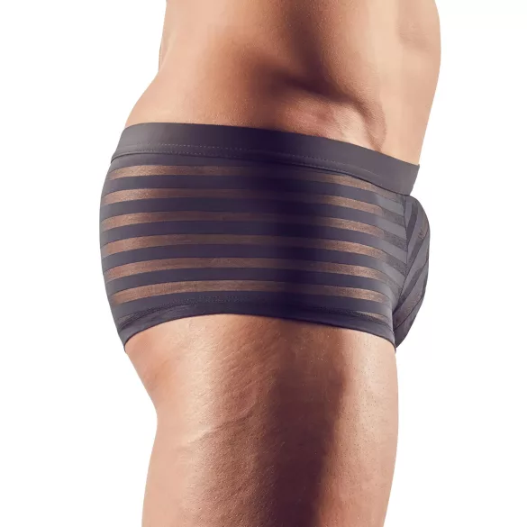 Svenjoyment - Transparent striped boxers (black) - L
