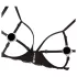 Abierta Fina - Sparkling Lace Enchantment - Bra Set (Black)