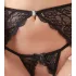 Abierta Fina - Sparkling Lace Enchantment - Bra Set (Black)