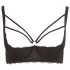 Cottelli Plus Size - Strappy Ringed Lift Bra (Black) - 85E