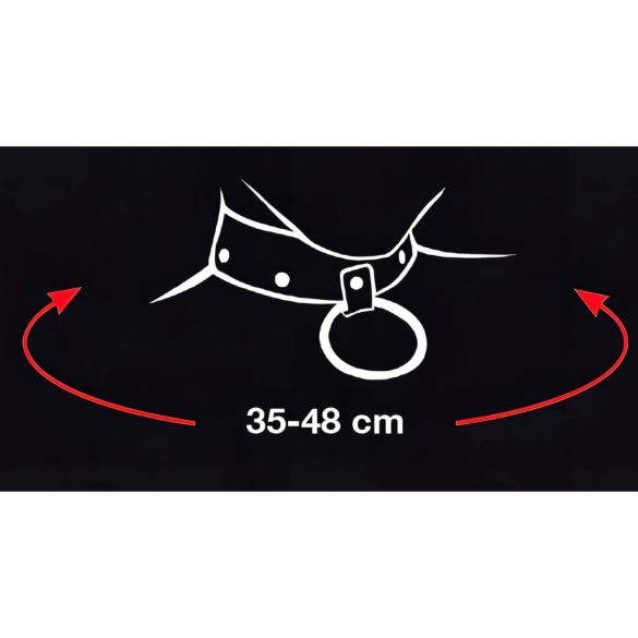 Bad Kitty - Heart Collar and Metal Leash (Black)