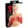 LATEX - Long Unisex Gloves (Red)