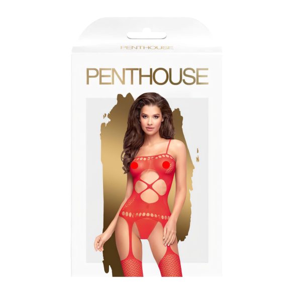 Penthouse Hot Nightfall - Wavy Open Net Set (Red)