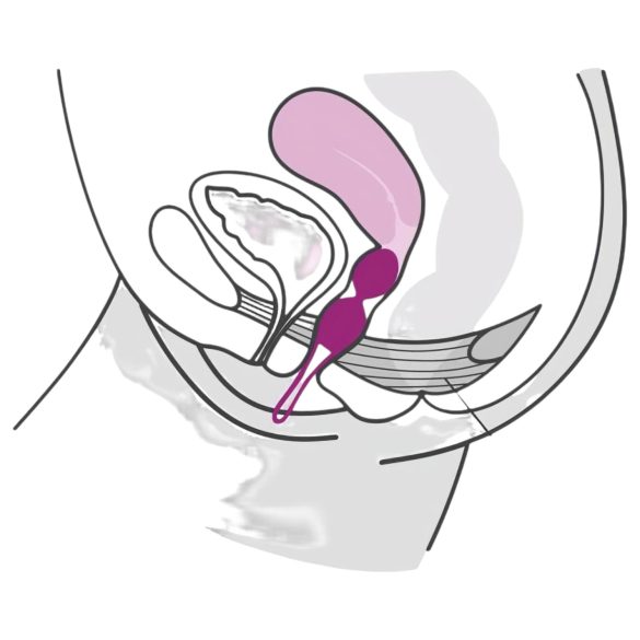 Fun Factory Smartballs Duo – Kegel Exercise Balls with Inner Ball (Purple)