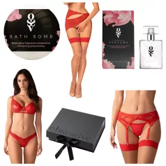 Obsessive Aloisa - Lingerie Gift Set - 6 Pieces (Red)