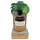 Coconut Oil - Organic Tanning Oil (80ml)