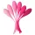 Sex HD Eggs - Set of 6 Geisha Balls (Pink)