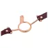 Latetobed - Ring Gag (Brown)