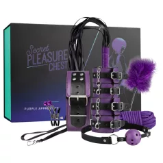 Secret Pleasure Chest - Advanced BDSM Kit (14‑Piece)