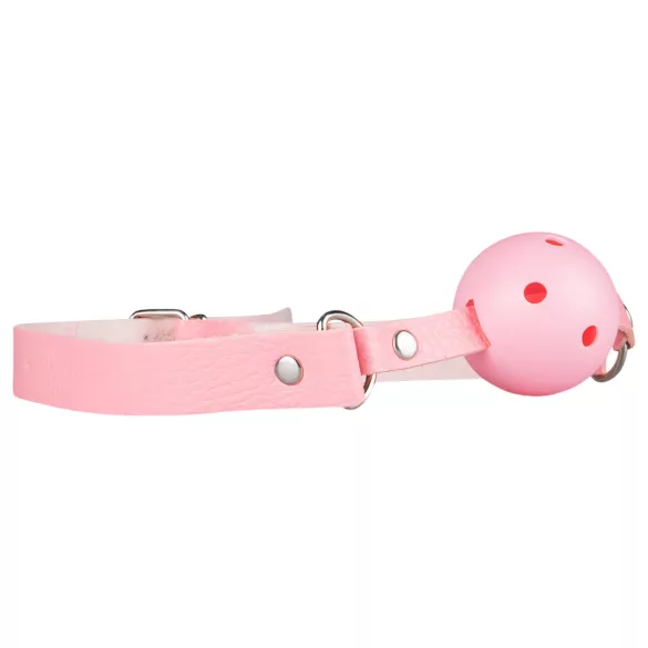 Advanced BDSM Set - 14-Piece Secret Pleasure Chest (Pink)