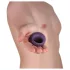Je Joue Mio - Rechargeable Waterproof Vibrating Penis Ring (Purple)
