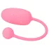 Magic Motion Kegel Coach - vibrating love ball (pink)