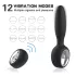Aixiasia Dylon Remote - Black Rechargeable Wireless Anal Vibrator
