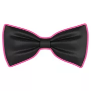 Bachelor party accessories