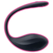 Egg vibrator