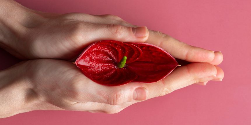 Clitoral stimulation with a discreet pleasure toy, Lovesexshop.ie sex shop